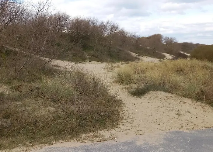 Astrid At 100 Meter From Sea With Parking Place 브레데네